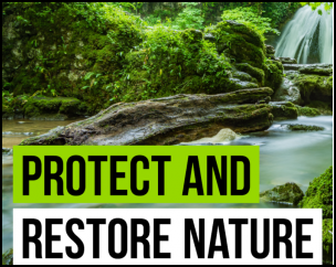 Protect and restore nature image and banner